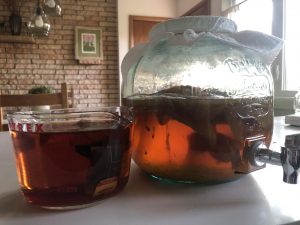 How to Make Kombucha!