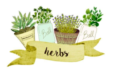Visitation Plant Guide: Garden Herbs